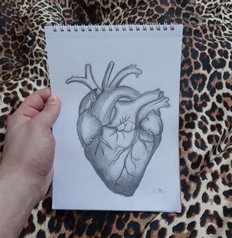 kalp çizim resmi